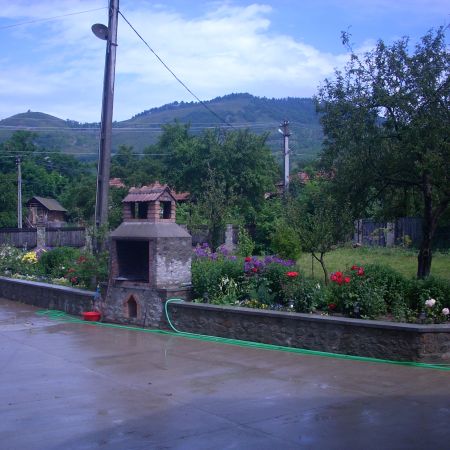 curte cu flori si gratar